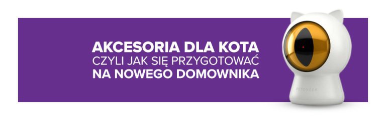 Akcesoria dla kota, czyli jak się przygotować na nowego domownika