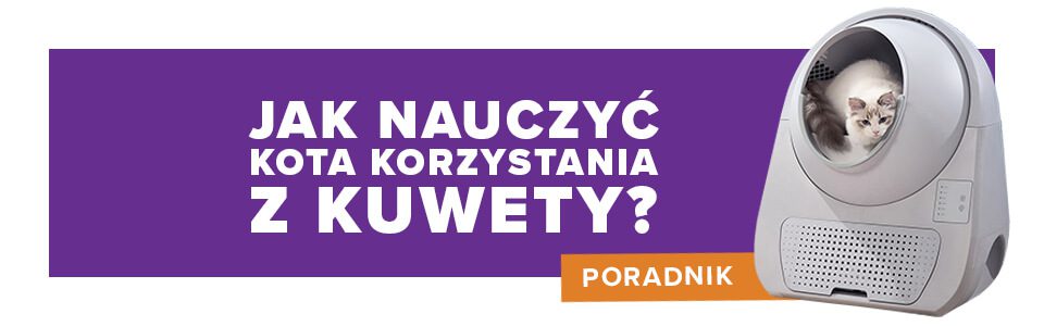 Jak nauczyć kota korzystania z kuwety?