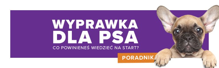 Wyprawka dla psa. Co trzeba kupić przed pojawieniem się w domu nowego członka rodziny?