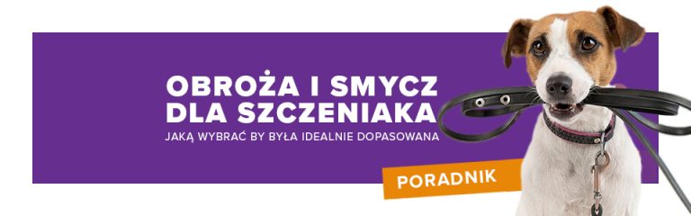 Jaką obrożę i smycz dla szczeniaka wybrać, by była idealnie dopasowana?