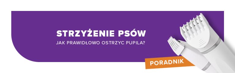 Strzyżenie psów – jak prawidłowo ostrzyc pupila w domu?
