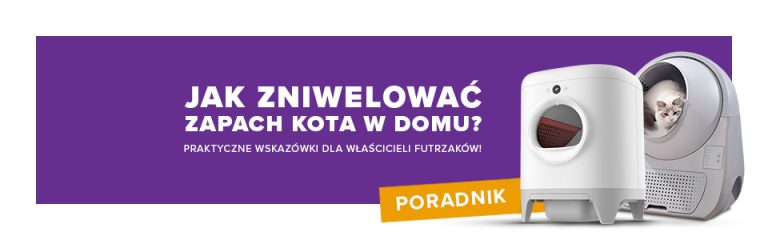 Jak zniwelować zapach kota w domu? Praktyczne wskazówki dla właścicieli futrzaków