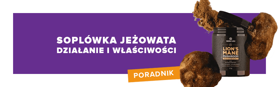 Soplówka jeżowata (Lion’s Mane) ─ działanie, właściwości, przeciwwskazania