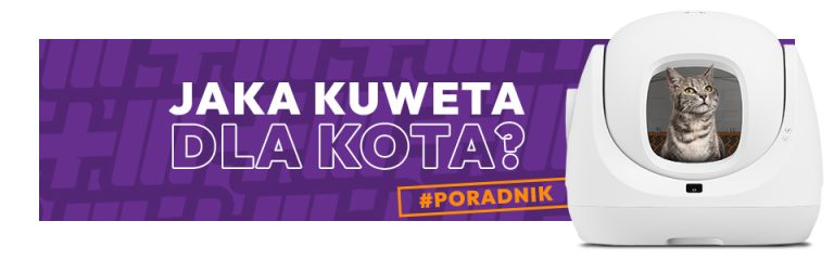 Jaka kuweta dla kota? Którą wybrać i gdzie postawić?